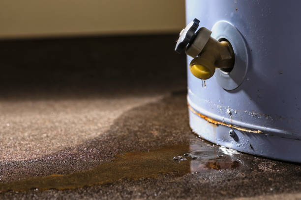 Best Flood damage cleanup  in Lowesville, NC