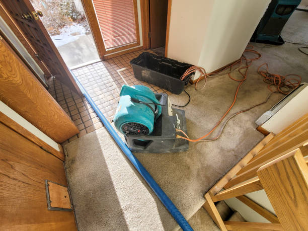 Best Commercial water damage restoration  in Lowesville, NC