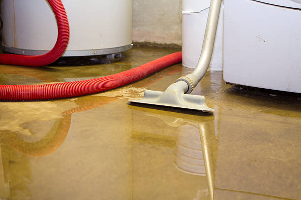 Best Water damage restoration insurance claims  in Lowesville, NC