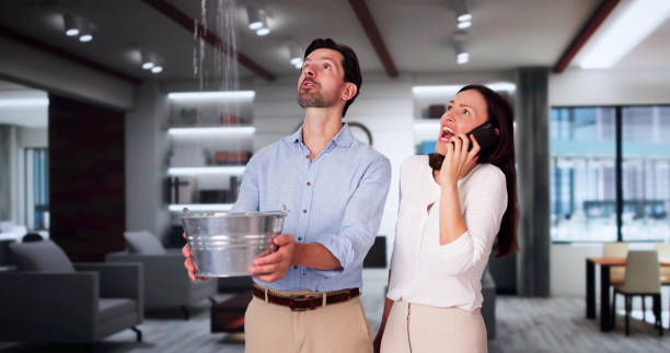 Best Water damage contractors near me  in Lowesville, NC