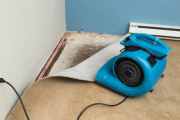 Best Water damage restoration near me  in Lowesville, NC